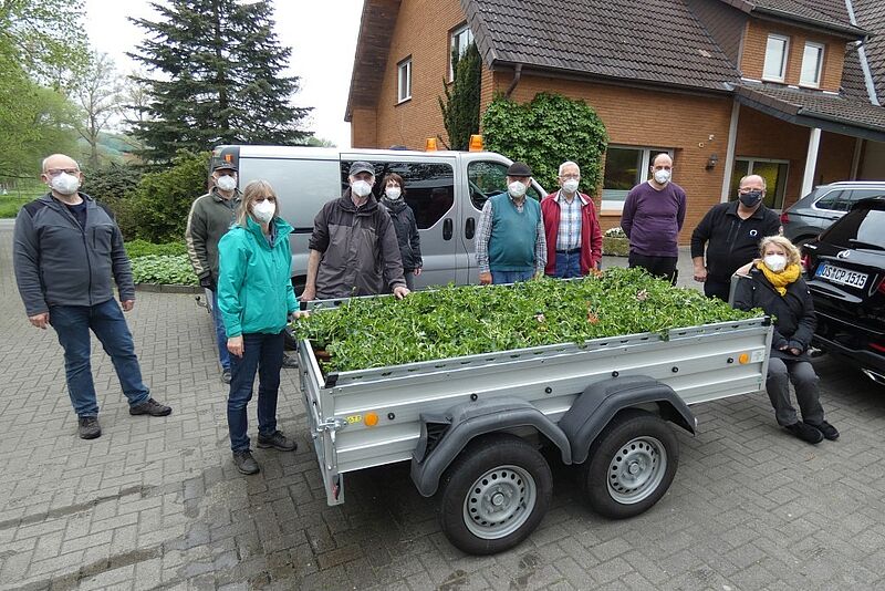 Team Geranienpflanzen 2021