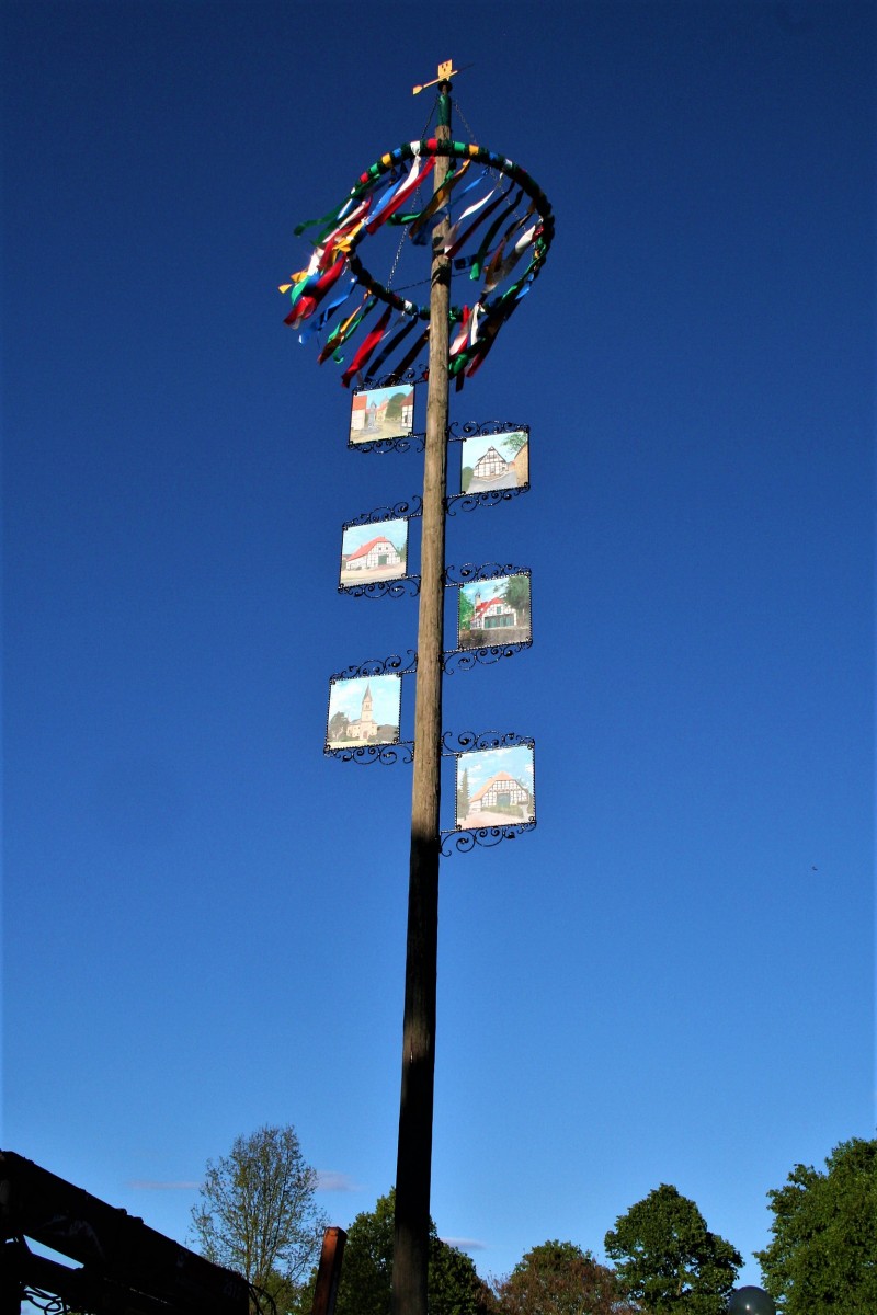 2018.04.30. Maibaum steht